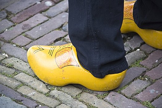 脚,穿,木鞋,北荷兰,荷兰