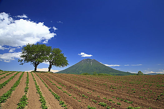 地点,山