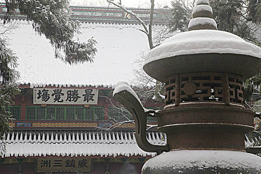 杭州,西湖,建筑,灵隐寺,寺庙,雪,宗教,佛教,僧人,塑像,信仰,文化,旅游,飞来峰