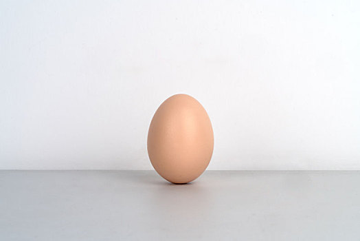 白色背景下的一个鸡蛋