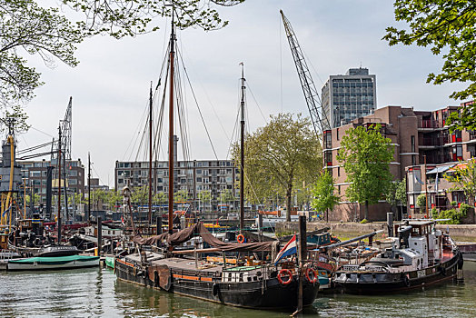 荷兰鹿特丹市中心的港口停靠的古典驳船