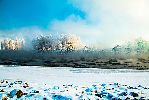 冬日,雪景,雪地,蓝天,雾松