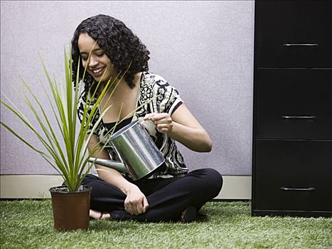 女人,浇水,植物,绿色,办公室