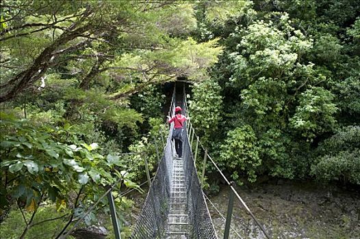 索桥,南岛,新西兰
