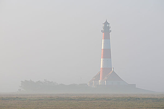 灯塔,雾,埃德施泰茨,半岛,德国
