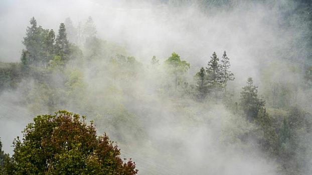 重庆酉阳,晨雾彩林共绘乡村美景