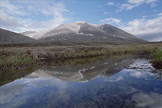 山峦,反射,草丛,苔原,水塘,日落,北极国家野生动物保护区,阿拉斯加