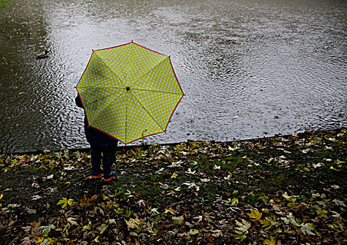 男孩,水塘,下雨,秋天,白天