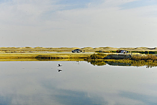 天鹅湖