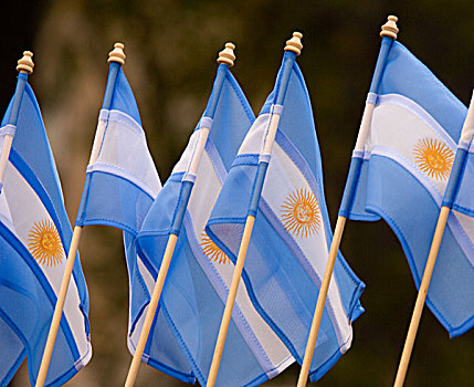 南美,阿根廷,布宜诺斯艾利斯,展示,旗帜