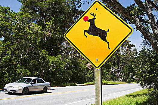 鹿,穿过,标识,红色,鼻子,加利福尼亚,美国