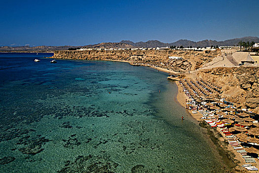 埃及,西奈,沙姆沙伊赫,红海,海滩,大幅,尺寸