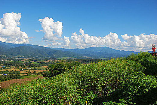 泰国清迈山顶树木蓝天白云俯瞰