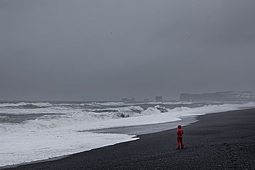男人,海滩,冰岛