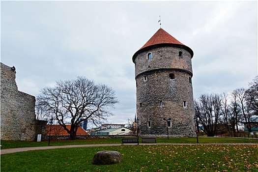 城墙,塔,老,塔林,爱沙尼亚