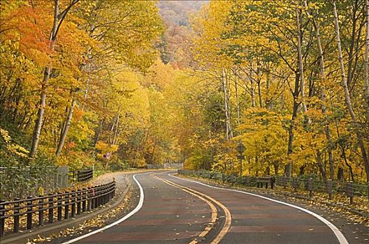 道路,北海道,日本