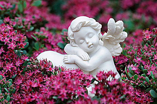 天使,小雕像,花园,装饰,花,床