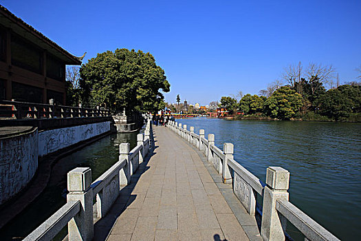 南京白鹭洲公园