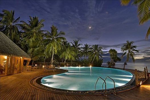 游泳池,岛屿,马尔代夫