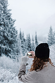 女人,机智,电话,摄影,松树,树林,雪中