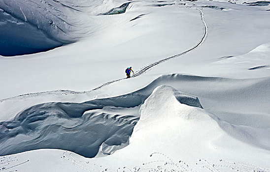 两个,滑雪,登山,长,冰河,瓦莱,瑞士,欧洲