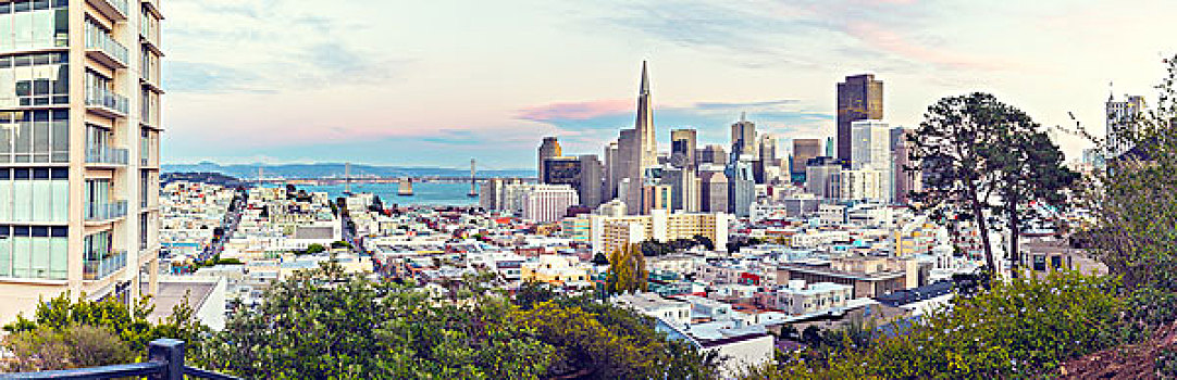 城市,天际线,旧金山,美国