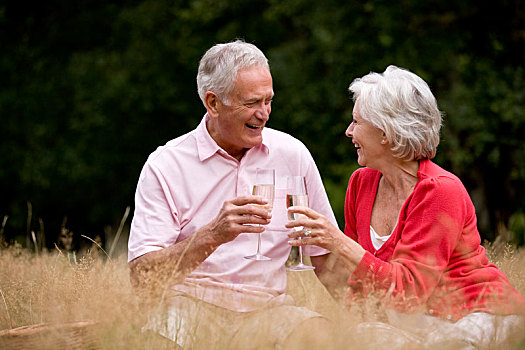 老年,夫妻,坐,草,喝,香槟