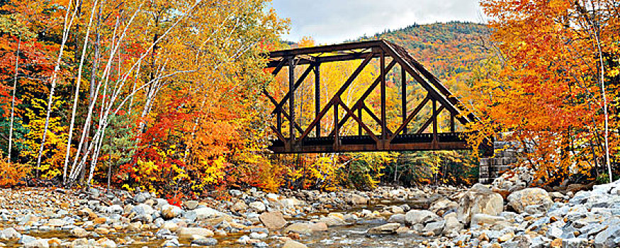 铁路桥,木头,彩色,叶子,白色,山