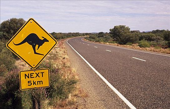 澳大利亚,北领地州,爱丽丝泉,道路,内陆,路标,警告,袋鼠