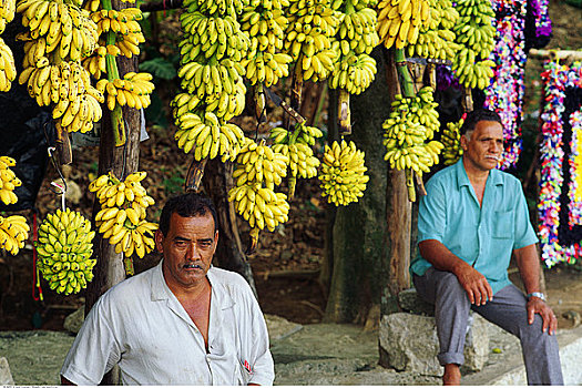 香蕉,出售,坐,店