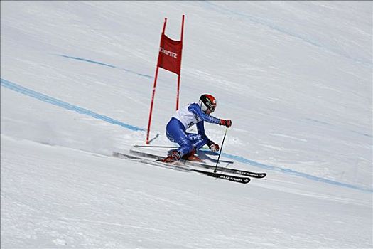 瑞士人,高山滑雪板,冠军,2009年,恩加丁,格劳宾登州,瑞士,欧洲