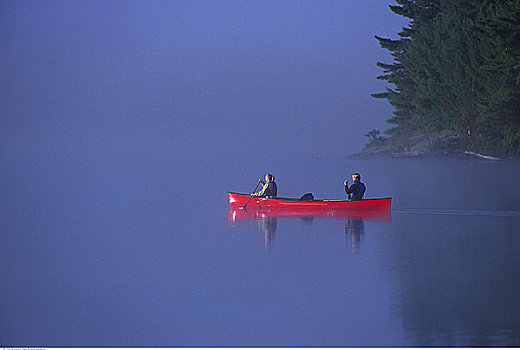 伴侣,独木舟,湖,薄雾,安大略省,加拿大