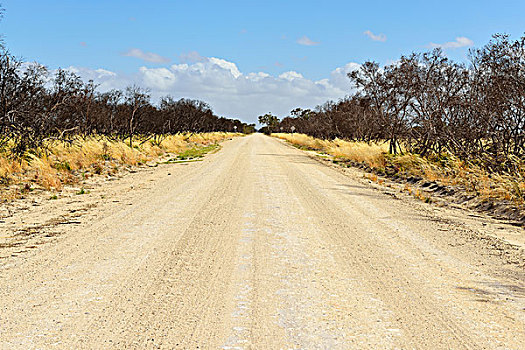 碎石路,夏天,公路,南澳大利亚州,澳大利亚