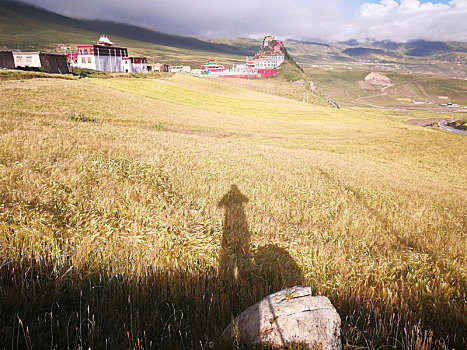 西藏,318,317线
