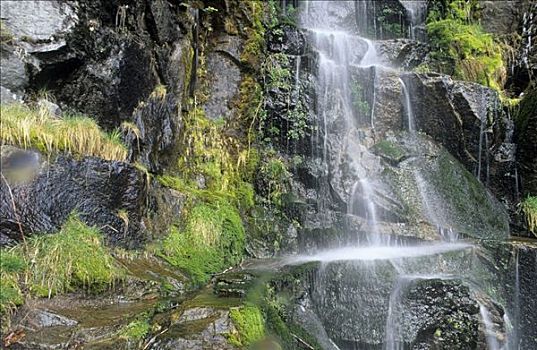 小,瀑布,雷尼尔山国家公园,华盛顿,美国
