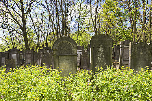犹太,墓地,波兰