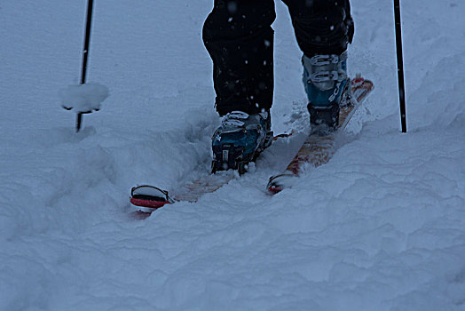 滑雪,雪地,特写,兰格丽斯,巴伐利亚,德国