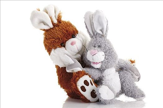 两个,东方,兔子,毛绒玩具