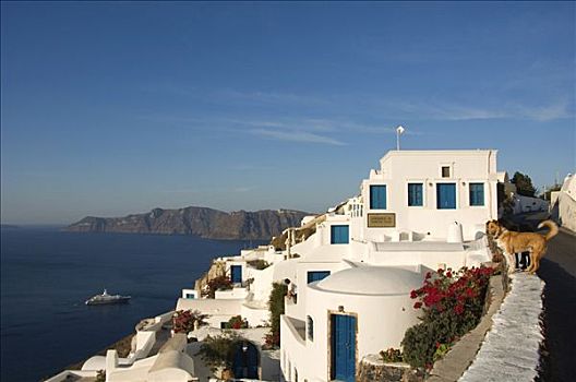 假日,公寓,旁侧,火山口,锡拉岛,基克拉迪群岛,爱琴海,希腊