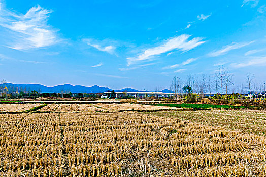 乡村风光