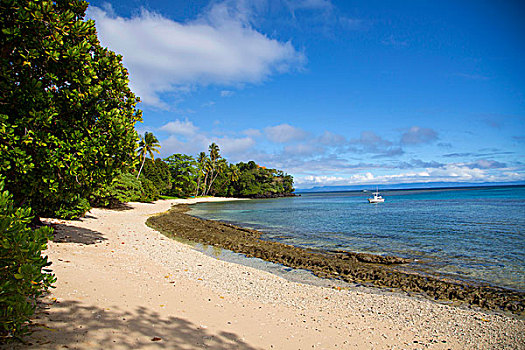 王子,海滩,斐济