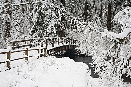 俄勒冈,美国,积雪,桥,银色瀑布州立公园