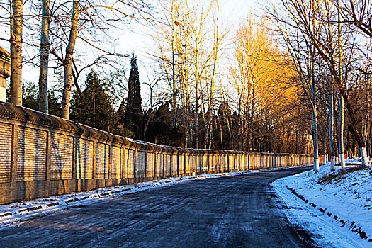 冬季清晨的小路