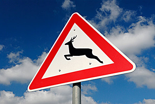 交通标志,鹿
