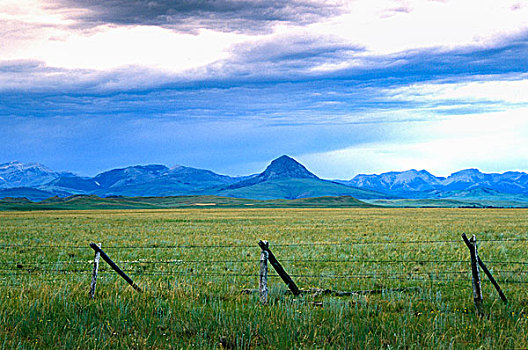 景色,风景,漂亮,落基山脉,国家,印第安人保留地,蒙大拿