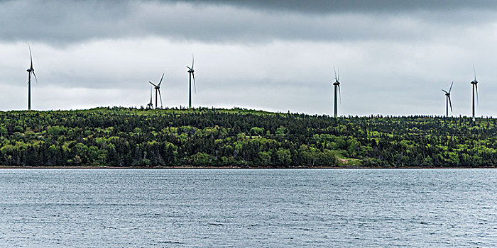 风轮机,海峡,海洋,新斯科舍省,加拿大