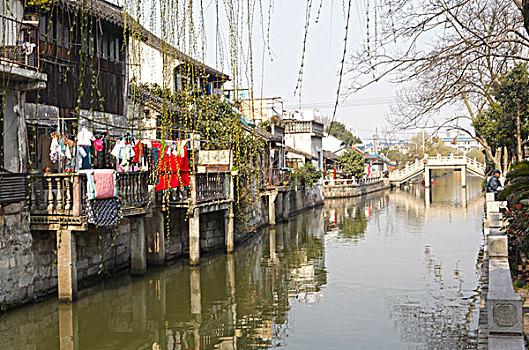 枫泾水景