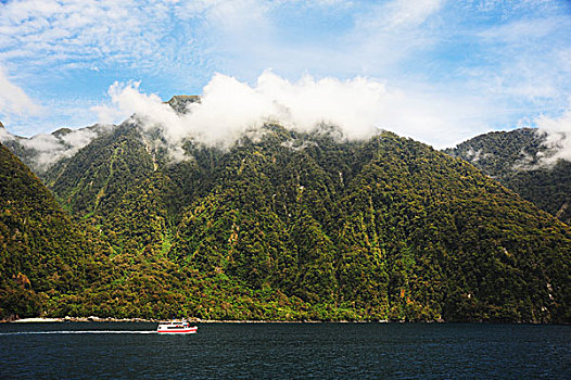 新西兰米佛峡湾风光