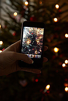 握着,手机,照相,圣诞树