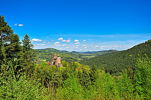 城堡,自然保护区,莱茵兰普法尔茨州,德国,欧洲